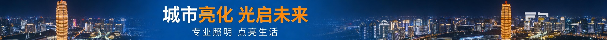 Ningbo Lighting & Electric Appliances Association 2